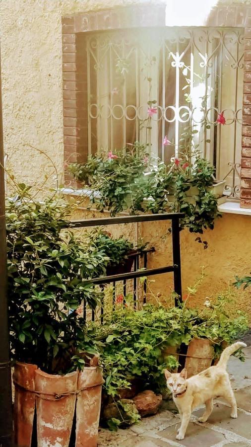 Le Origini Casa In Borgo Tipico Lucano Trivigno Buitenkant foto