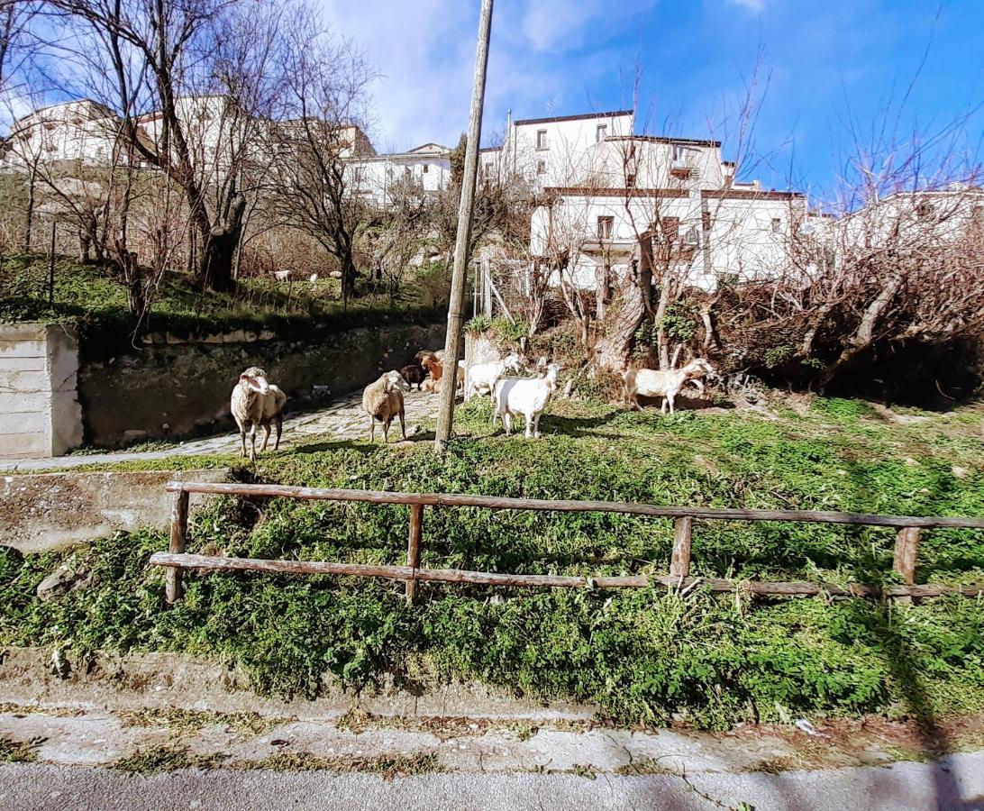 Le Origini Casa In Borgo Tipico Lucano Trivigno Buitenkant foto